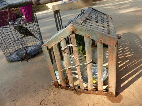 Friends of Orchha : La Familia Panchhal