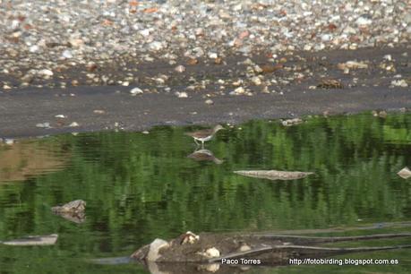 Jornada nº.144 : Andarríos  grande