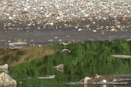 Jornada nº.144 : Andarríos  grande