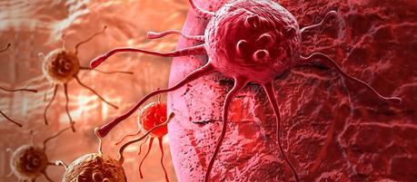 Científicos transforman células de cáncer en inofensivos glóbulos blancos Científicos transforman células de cáncer en inofensivos glóbulos blancos