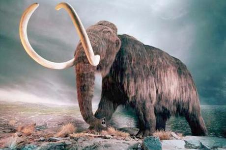 Regresar al Mamut Lanudo