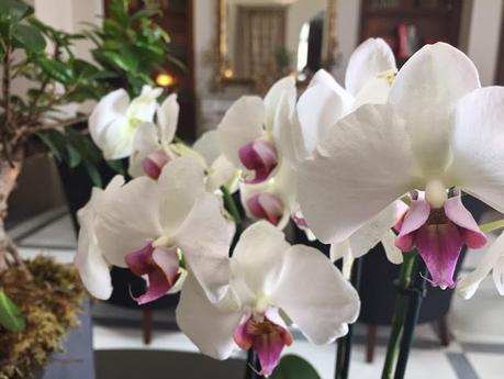 C A S T I L L O D E L B O S Q U E D E L A Z O R E D A