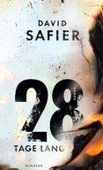 28 días, de David Safier