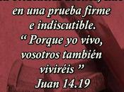 seguridad esperanza