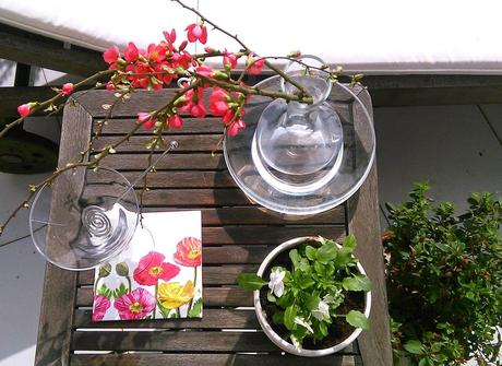 El encanto de la flor del membrillo japonés