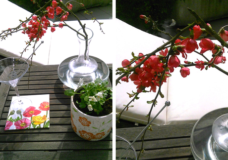 El encanto de la flor del membrillo japonés