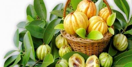 Garcinia Cambogia, Pierde Peso de Forma Natural