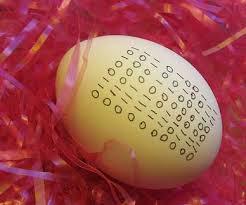 binary egg