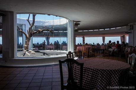 La higuera y el camello