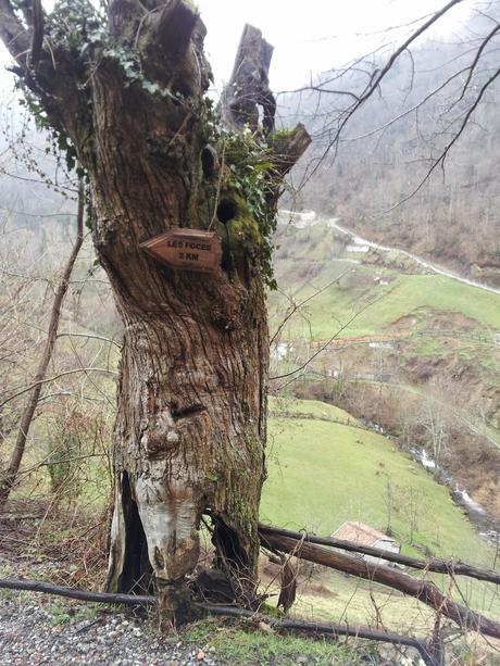 Ruta de las Foces del Río Pino