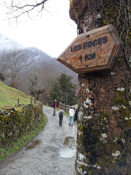 Ruta de las Foces del Río Pino