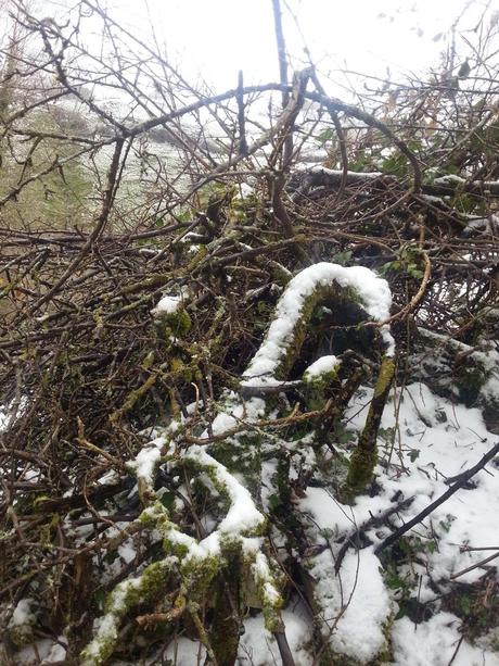 Ruta de las Foces del Río Pino