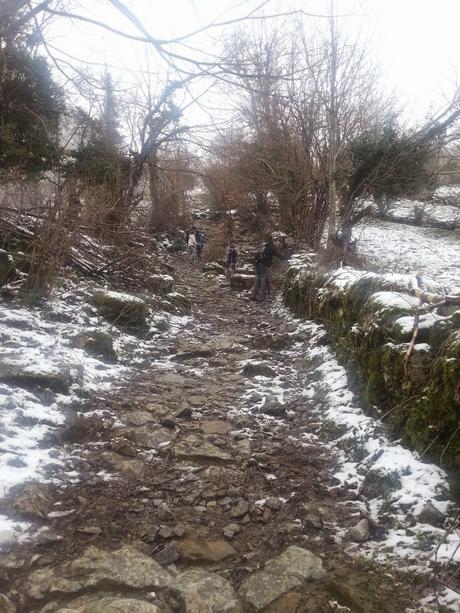 Ruta de las Foces del Río Pino