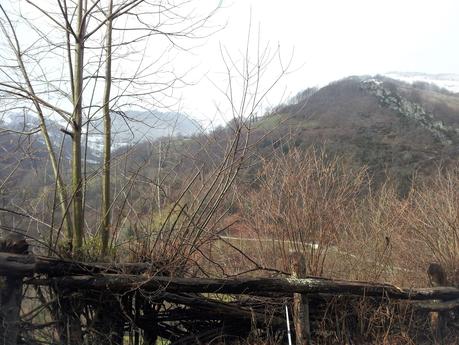 Ruta de las Foces del Río Pino