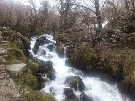 Ruta de las Foces del Río Pino