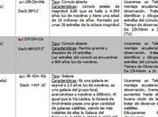 Diseño noche Observación