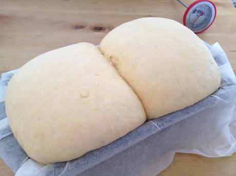 recetas pan casero recetas delikatissen receta brioche casero pan para torrijas pan delikatissen pan casero molde pan brioche hacer pan en casa fácil brioche fácil 