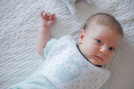 Little Barcelona_Papilladefruta