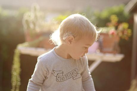 Little Barcelona_OrganicZOO-2