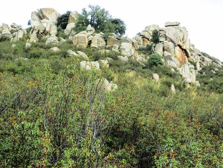 ABRIL: DEDICADO A MARÍA AGRA-FAGÚNDEZ