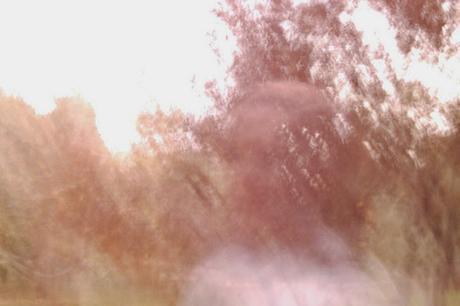 El pensionado de Neuwelke (José C. Vales)