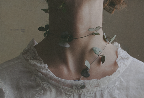 Entrada extra! Fotos para descargar de uso libre parte 2!