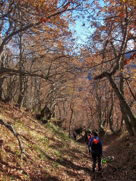 El Michu por la Tcherona.