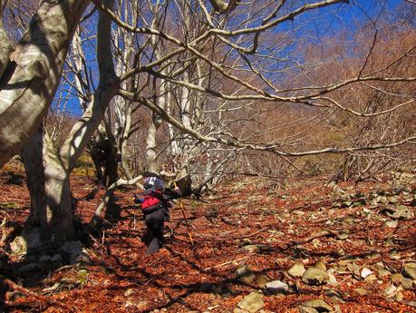 El Michu por la Tcherona.