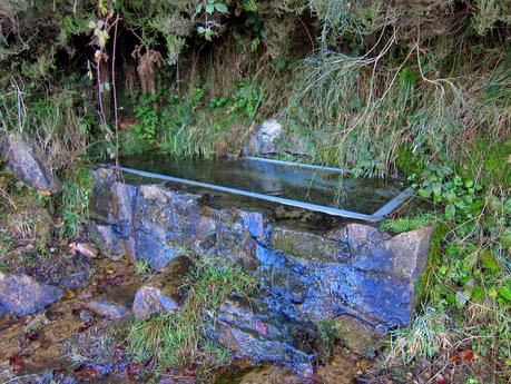 El Michu por la Tcherona.