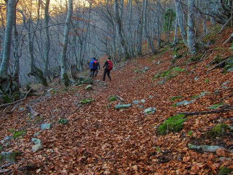 El Michu por la Tcherona.
