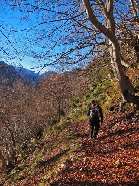 El Michu por la Tcherona.