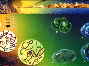 paradoja origen vida