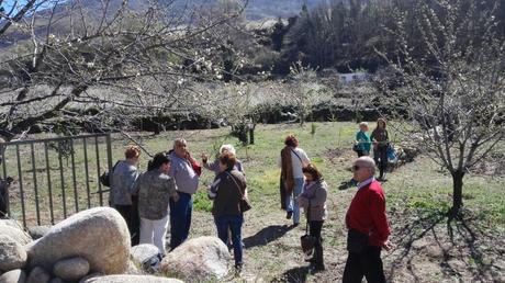 EL VALLE DEL JERTE EN LA SEMANA DE “PASIÓN”