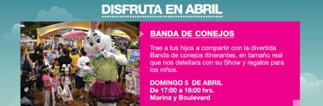 La más esperada banda de conejos llega al #MallMarinaArauco, Viña del Mar @marinaarauco