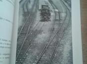 Mini-reseña Amor mestizo erizo