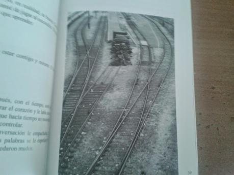 Mini-reseña 60. Amor mestizo de un erizo