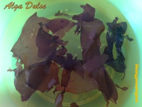 RECIPE #001:  ENSALADA DE ALGAS (BÁSICA)