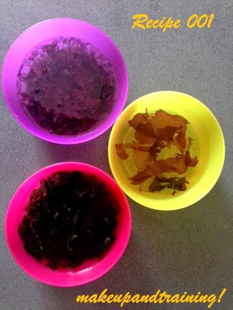 RECIPE #001:  ENSALADA DE ALGAS (BÁSICA)