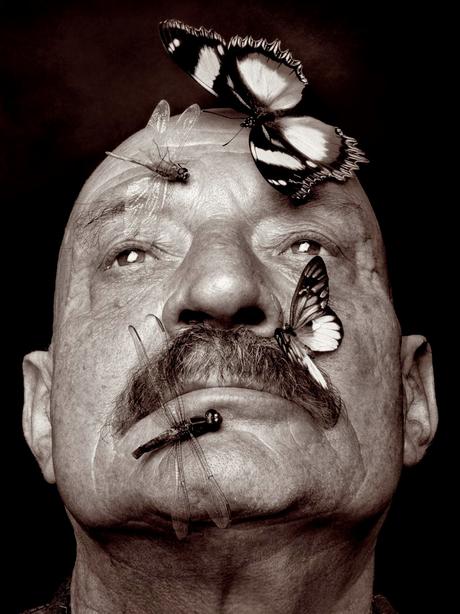 Celebración de José Hierro