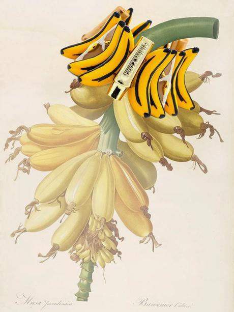 Las frutas son las nuevas flores