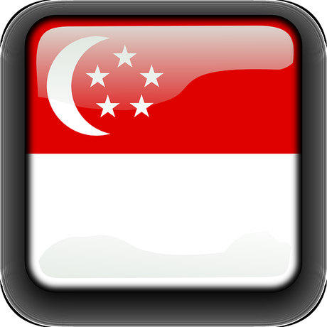 ¿Cómo hizo Singapur para pasar del tercer al primer mundo?