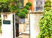 Brunch Good Food Company