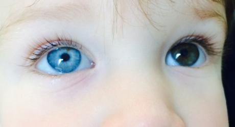 La mirada macedónica