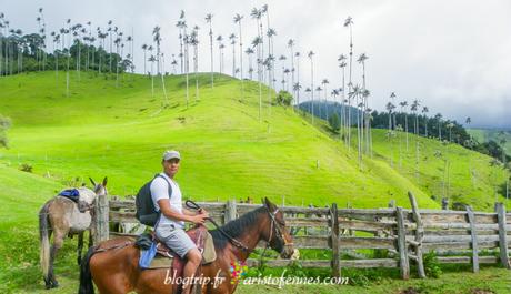 Cabalgata valle del Cocora - Aristofennes blog de viajes