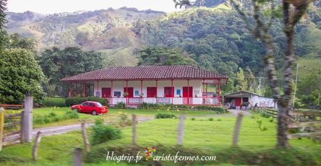 Finca cafetera en Salento Colombia