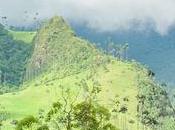 Valle Cocora Salento, Colombia natural