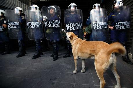 Loukanikos en una manifestación