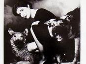 Enya celts