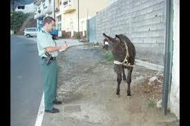 #Mejor multar que ayudar