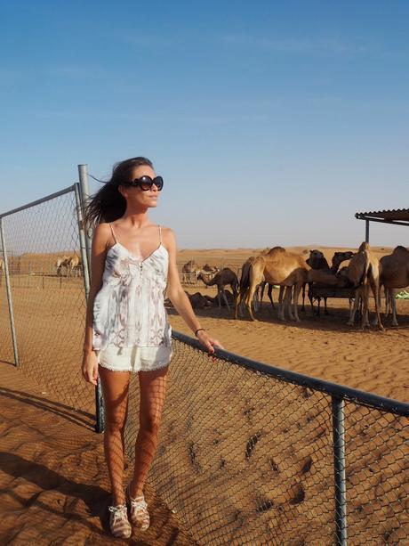 Dubai Desert OLYMPUS DIGITAL CAMERA